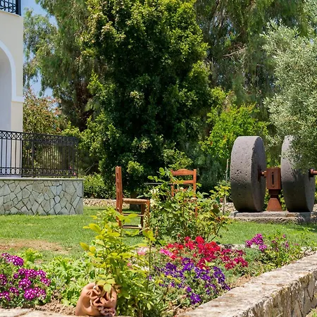 Helen & Theo ラガナス